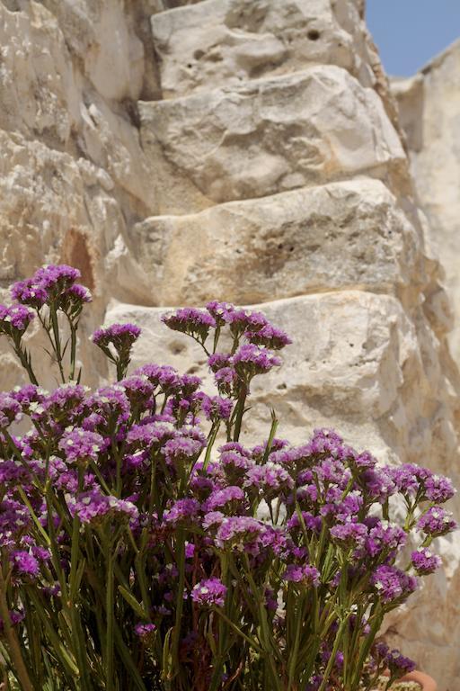 Masseria Madonna Dell'Arco Agriturismo Martina Franca Ngoại thất bức ảnh